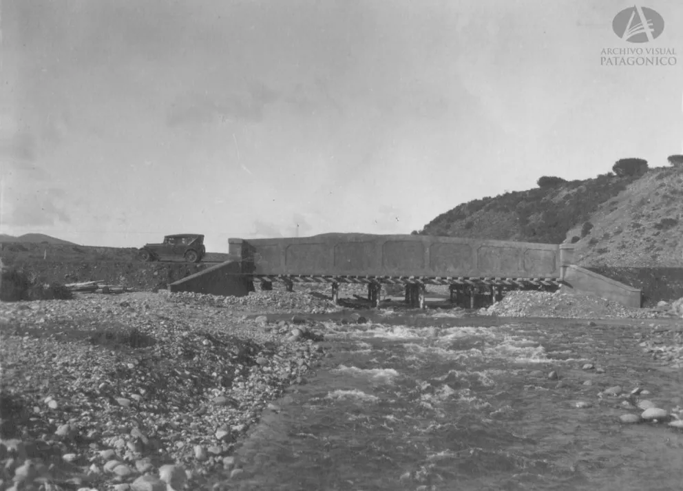 ¿Qué culpa tiene el Ñireco?