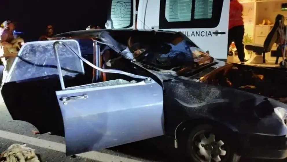 Cuatro heridos al embestir un caballo en plena ruta