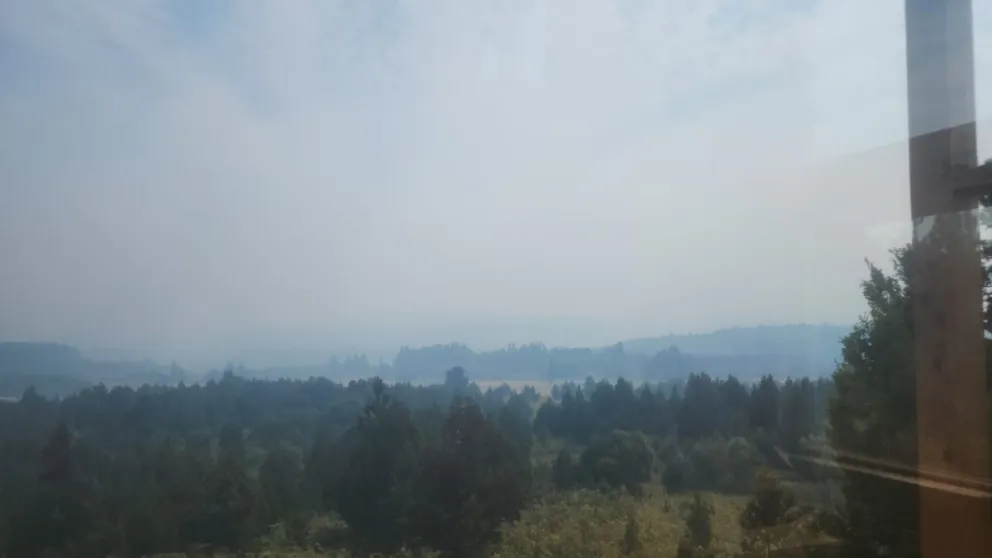Se perdieron más de 150 hectáreas de pino en el incendio de Epuyén que sigue activo 