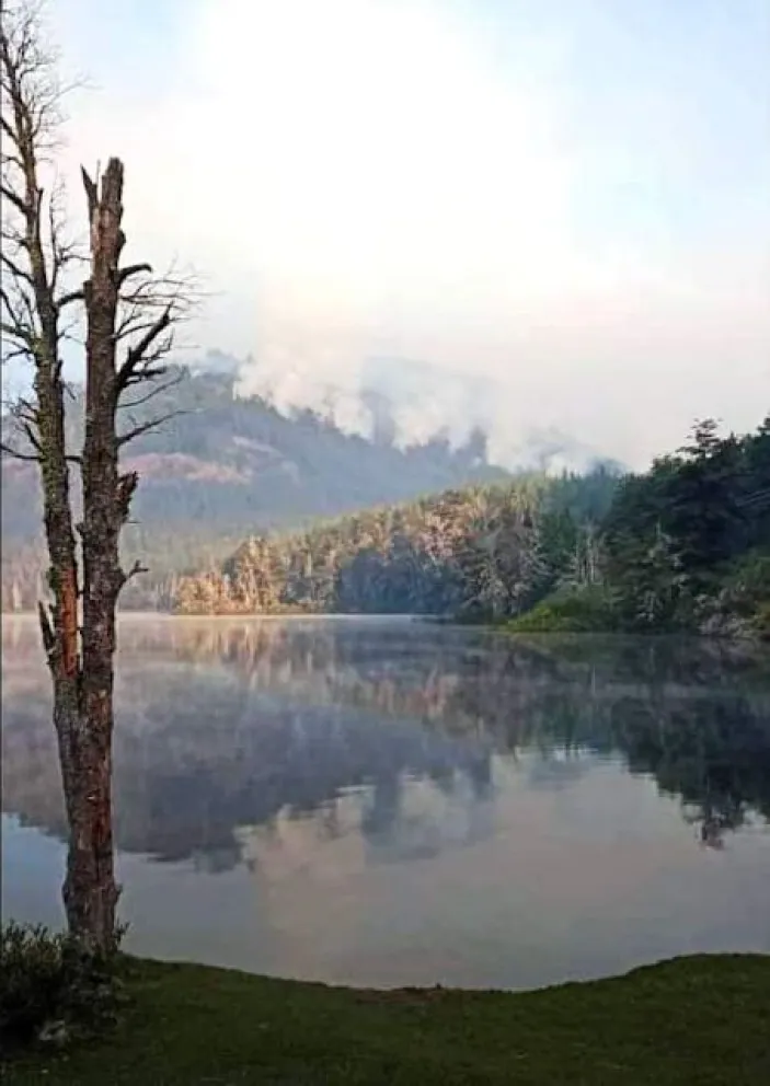 Piden que peritos de la Policía Federal investiguen la intencionalidad en los incendios de la Comarca