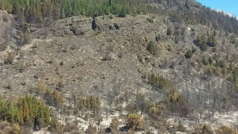 Contienen el incendio de Epuyén y las autoridades realizan denuncias para encontrar a los responsables