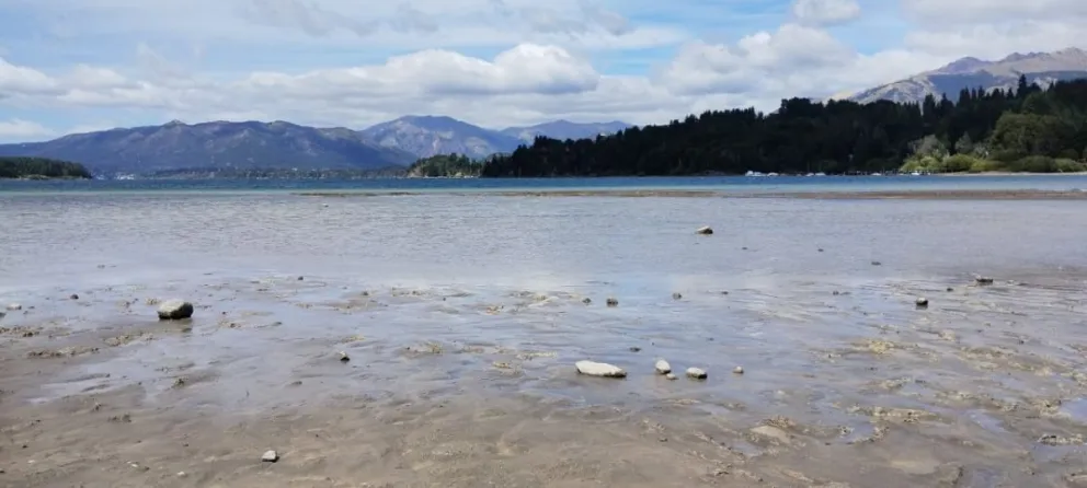 Analizan el chip del celular y la tarjeta SUBE de la mujer de La Plata desaparecida en Bariloche