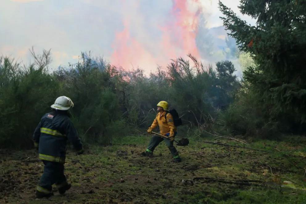 Combatieron un foco de incendio forestal a metros de la Circunvalación