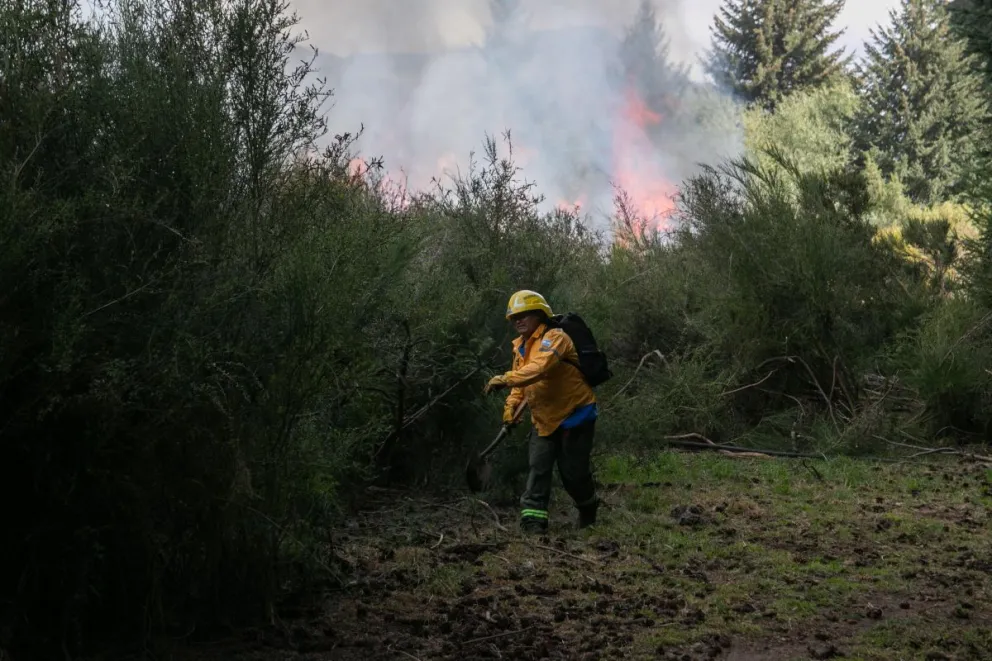 Se mantenga vigente la Emergencia Ígnea en Río Negro, está prohibido encender fuego al aire libre / Foto de archivo Facu Pardo 