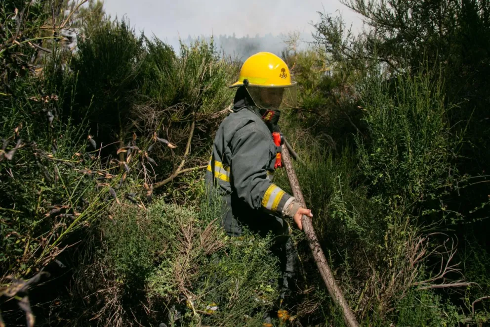 Se solicita a la comunidad que ante cualquier columna de humo o indicio de incendio se comunique de inmediato al 103 / Foto de archivo 