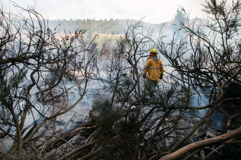 Ante columnas de humo, denunciar a la línea gratuita 103 de Protección Civil.
