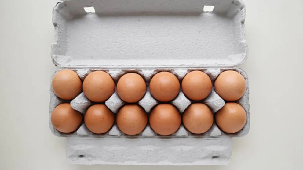 "El calor, el replume y las granjas" las razones de los aumentos en la docena de huevos 