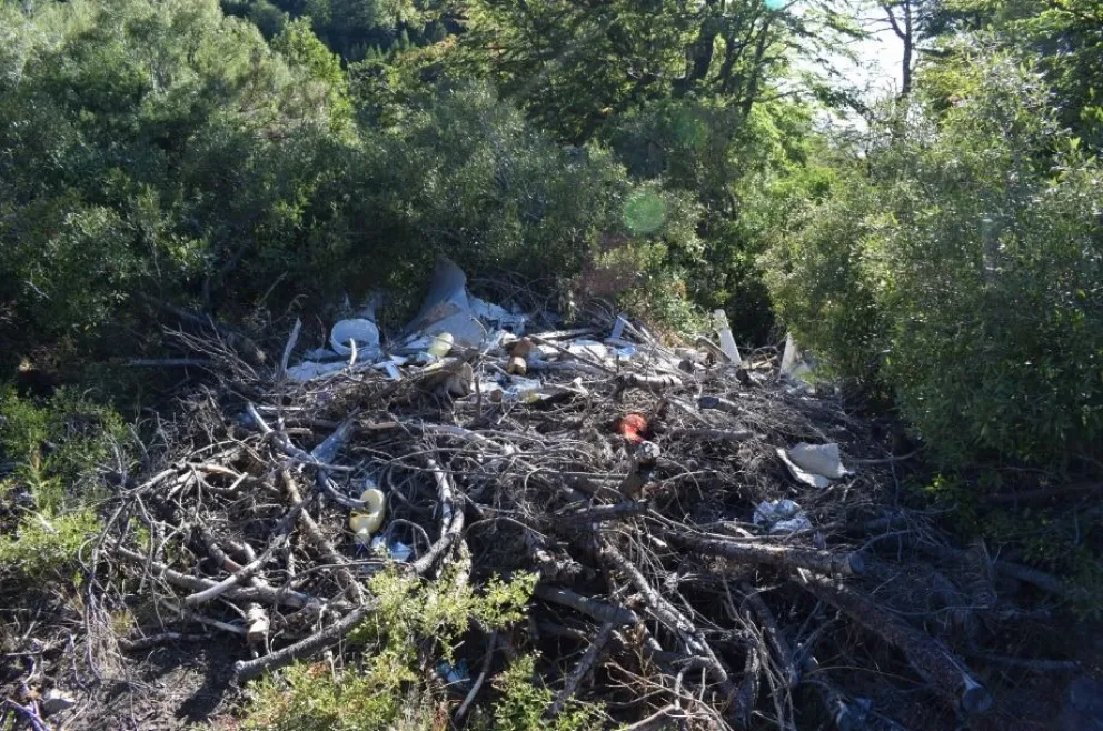 Personal del Municipio y Parques limpiaron un microbasural en el Balcón del Gutiérrez