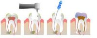 Desarrollo de la odontología y sus especialidades principales
