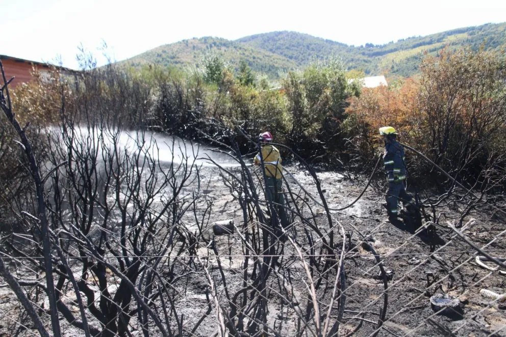 Incendio forestal en El Frutillar tuvo en vilo a los vecinos del barrio