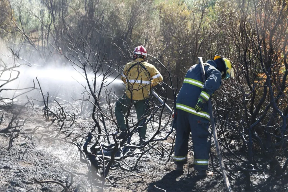 Brigadistas y Bomberos sofocaron 4 incendios forestales en cuestión de horas