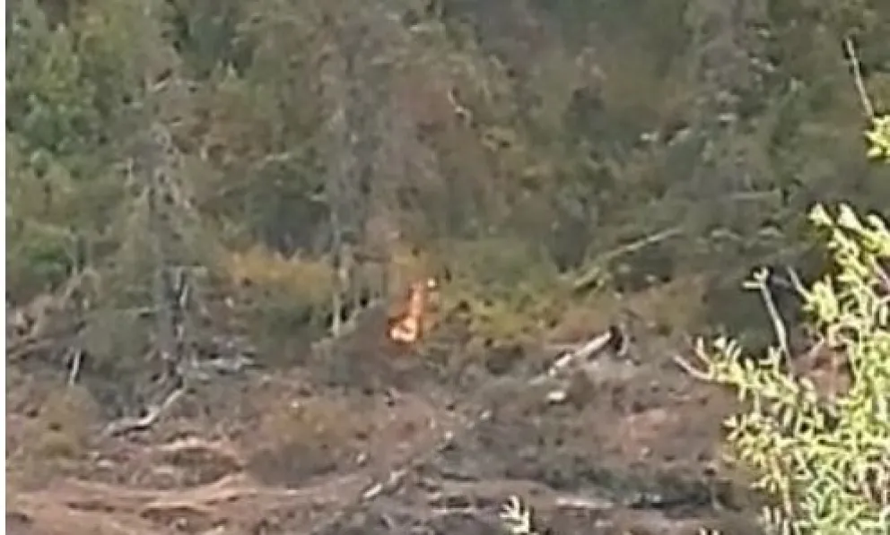 Investigan imágenes para determinar la intencionalidad de los incendios en El Bolsón