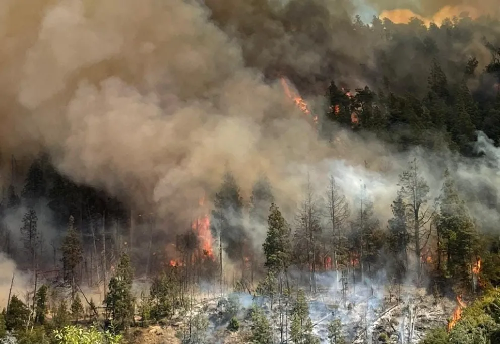Continúa activo el incendio en Cascada Escondida y hoy seguirán los trabajos para combatir el fuego 