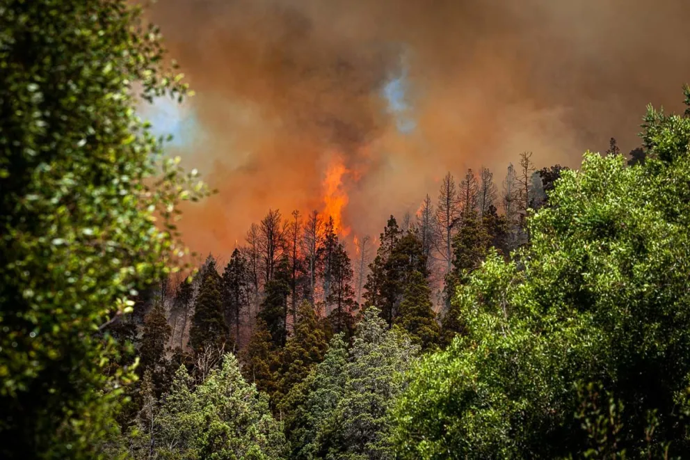 Más de 200 hectáreas consumidas por el incendio que permanece activo en Cascada Escondida 