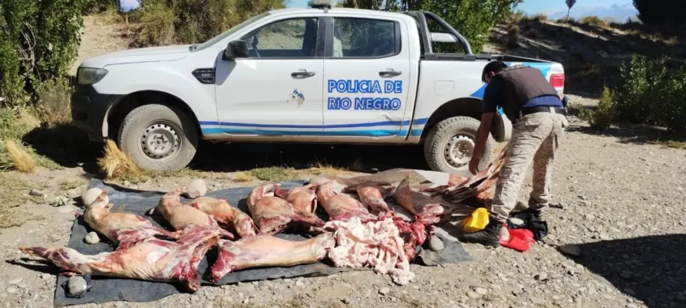 Tres hombres sorprendidos cuando trasladaban una docena de caprinos faenados