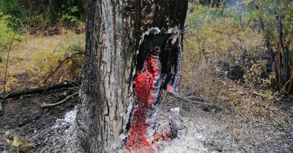 Liberaron al acusado de provocar el gigantesco incendio en El Bolsón pero seguirá involucrado en la causa