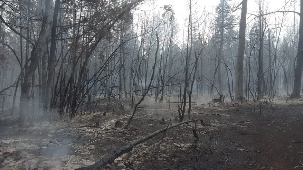 Continua activo el incendio de Cascada Escondida, en El Bolsón 