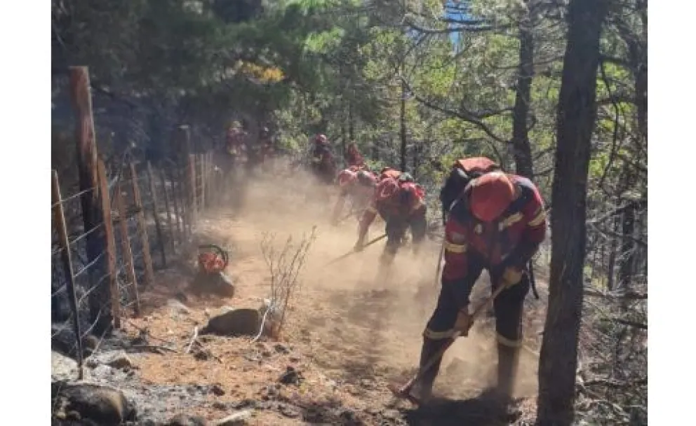Dan por contenido al incendio en la zona de Matus – Epuyén y presumen que fue intencional