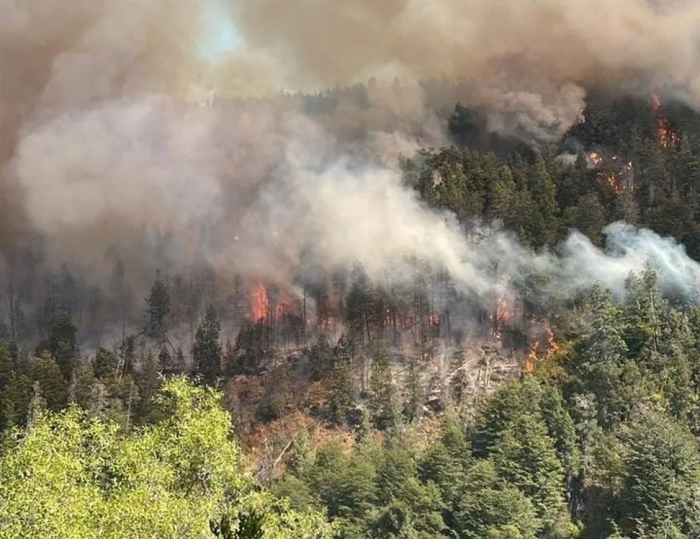 El incendio de Cascada Escondida ya consumió más de 11 kilómetros de vegetación 