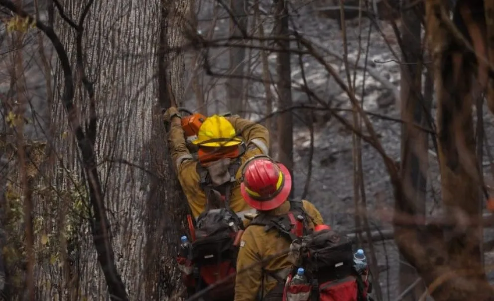 Logran dar contención al incendio intencional en Cascada Escondida 