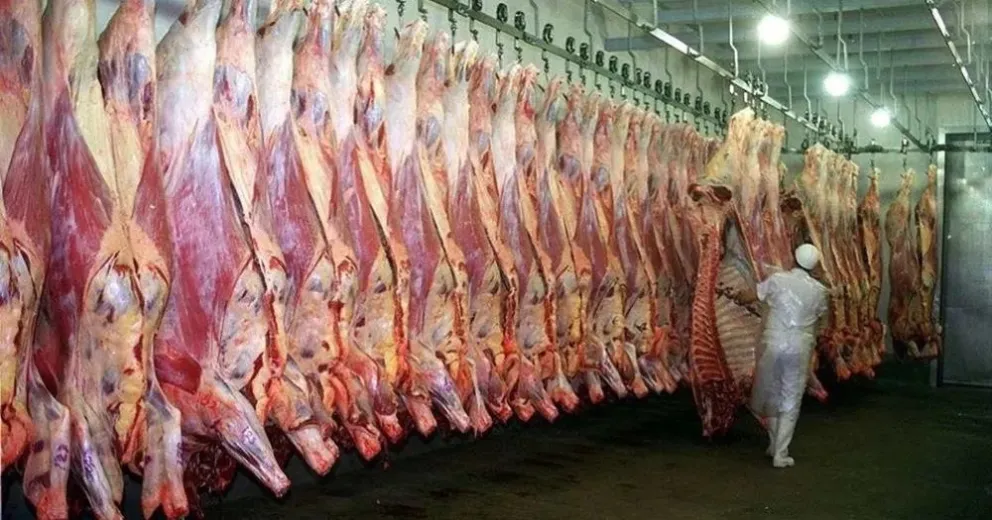 Deberán indemnizar a un trabajador de frigorífico al que se le cayeron 60 kilos de carne y se lesionó