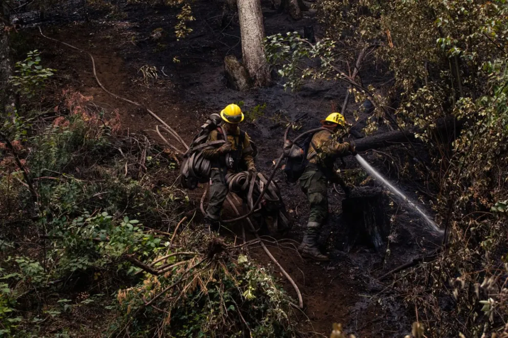 Intenso fin de semana para personal de SPLIF y del Servicio Nacional de Manejo del Fuego 