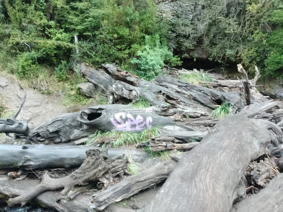 Indignación: grafitearon un tronco en la cascada Ñivinco