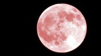 Se viene una luna llena: cuándo será y cómo aprovechar su energía