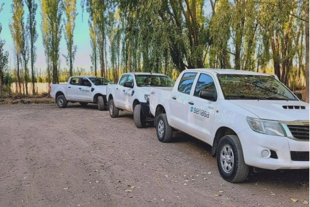 La gripe aviar tiene rodeada a Río Negro