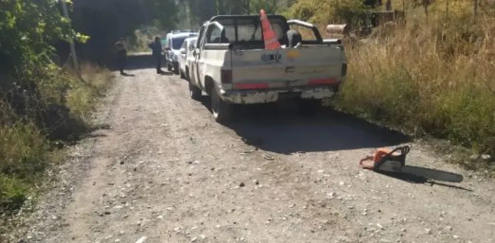 Agredió a su ex pareja y atacó a la policía con una motosierra en total estado de ebriedad