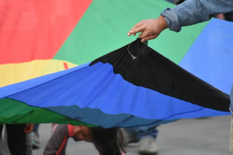 Proyectos para que prohíban la promesa a la bandera mapuche en las escuelas rionegrinas