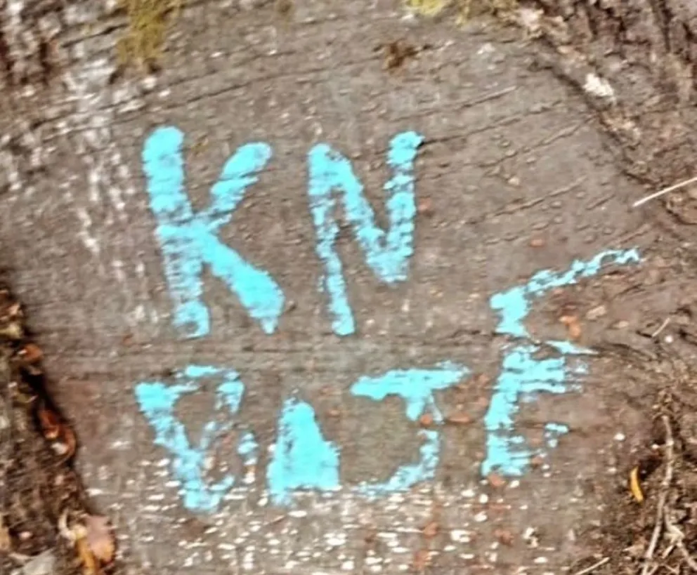 Otra vez un sendero del Parque Nacional aparece con "grafiteadas" y causa la indignación de los refugieros