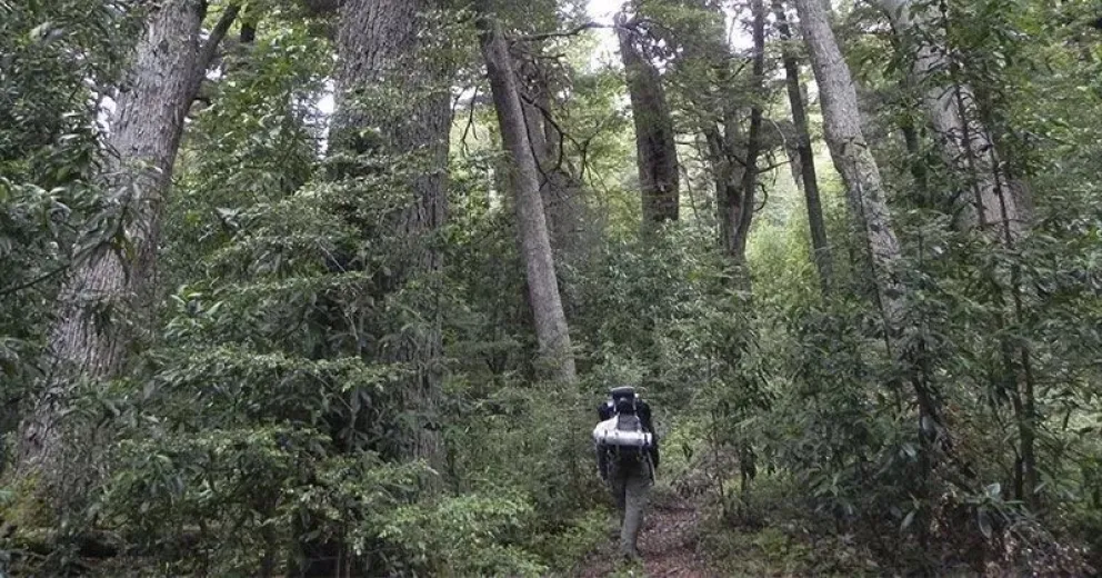 Se realiza este cierre por razones de seguridad. 