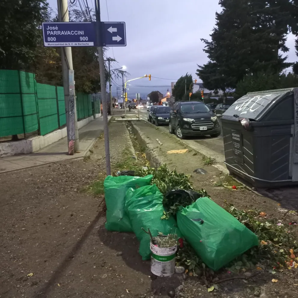 Malestar de vecinos del barrio Las Quintas por la presencia de residuos forestales en plena Onelli
