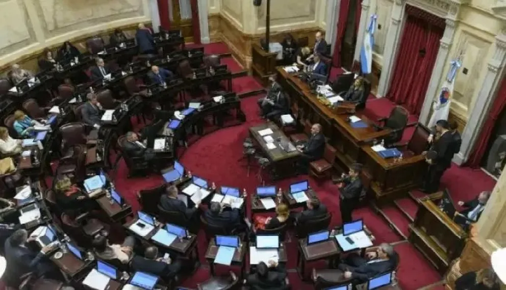 Senadora rionegrina Mónica Silva: “La desilusión va a llegar muy pronto”