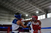 Boxeo en Dina Huapi: hoy sábado es el turno de las finales