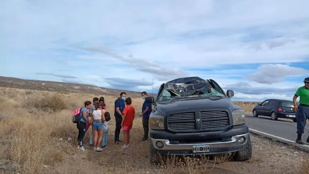 Con un violento impacto una familia de turistas chocó y mató a un ciervo en la ruta