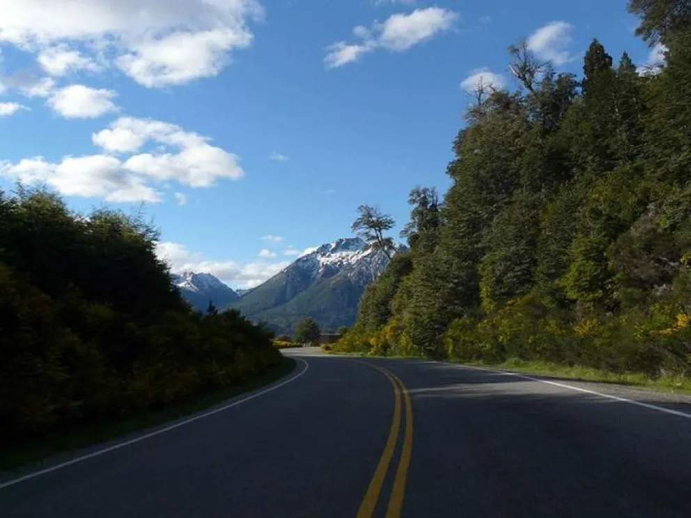Tránsito cortado en Circuito Chico por la caída de un árbol 