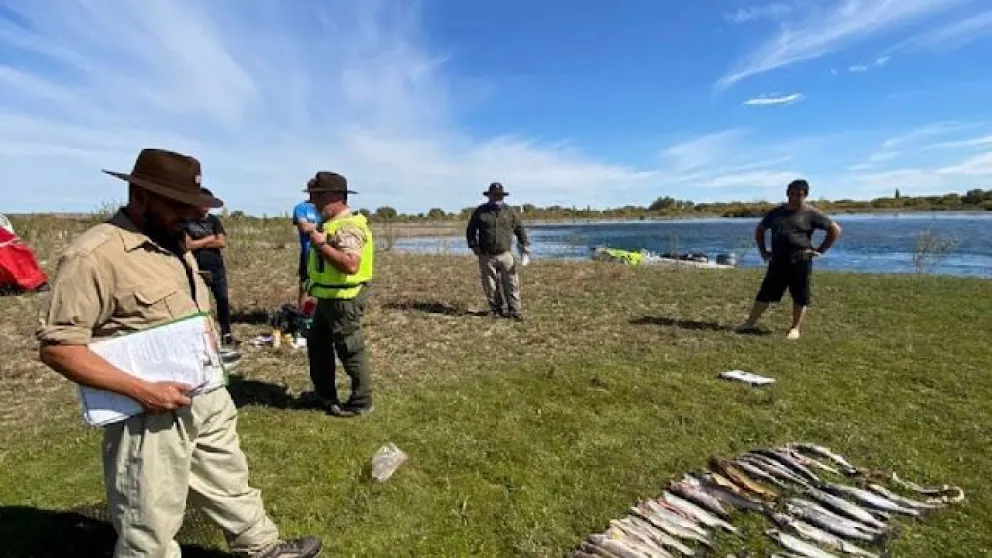 Decomisaron gran cantidad de pescados y multaron a los infractores