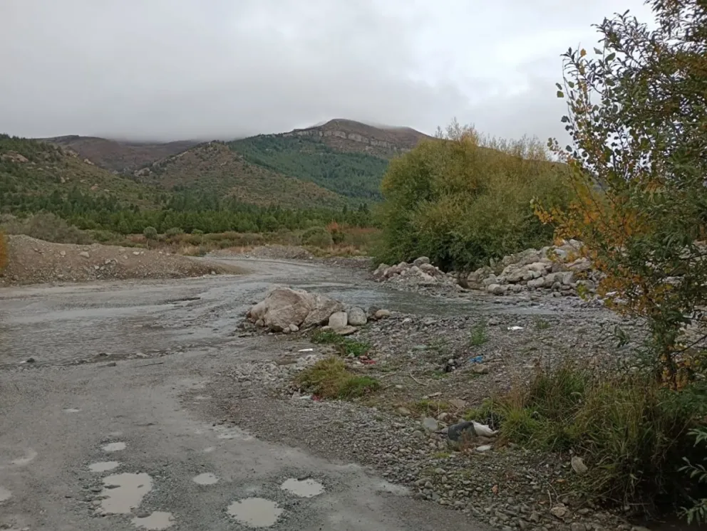 Anunciaron la construcción del puente sobre calle Wiederhold