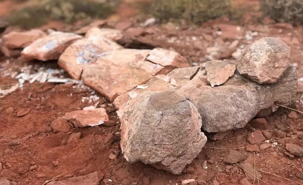 Increíble: encontraron el fémur de un titanosaurio en Neuquén