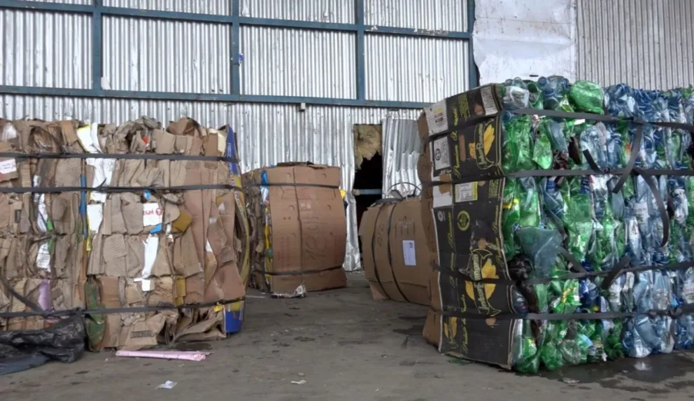 Con la experiencia piloto de separación en origen ya recuperaron 10 mil kilos de material reciclable