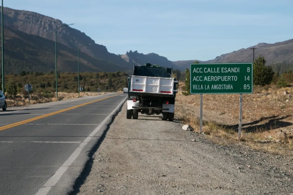 El animal fue encontrado en Circunvalación. Imagen ilustrativa.