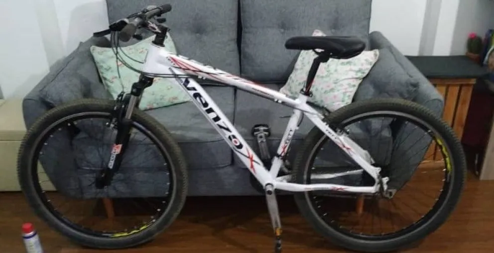 Estaba en su casa, se descuidó y le robaron la bicicleta que es su único medio de transporte 