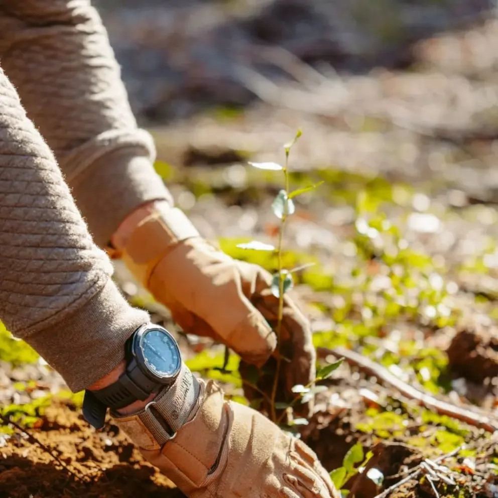 Gran jornada de plantación de árboles autóctonos en el Camping Viejo Manzano 