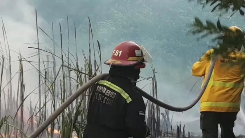 Se estaba incendiando su cabaña y cuando llegaron los bomberos los empezó a insultar 