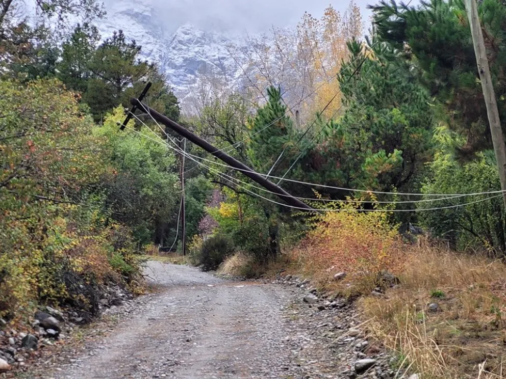 El temporal de viento derribó postes de luz en la Comarca Andina 