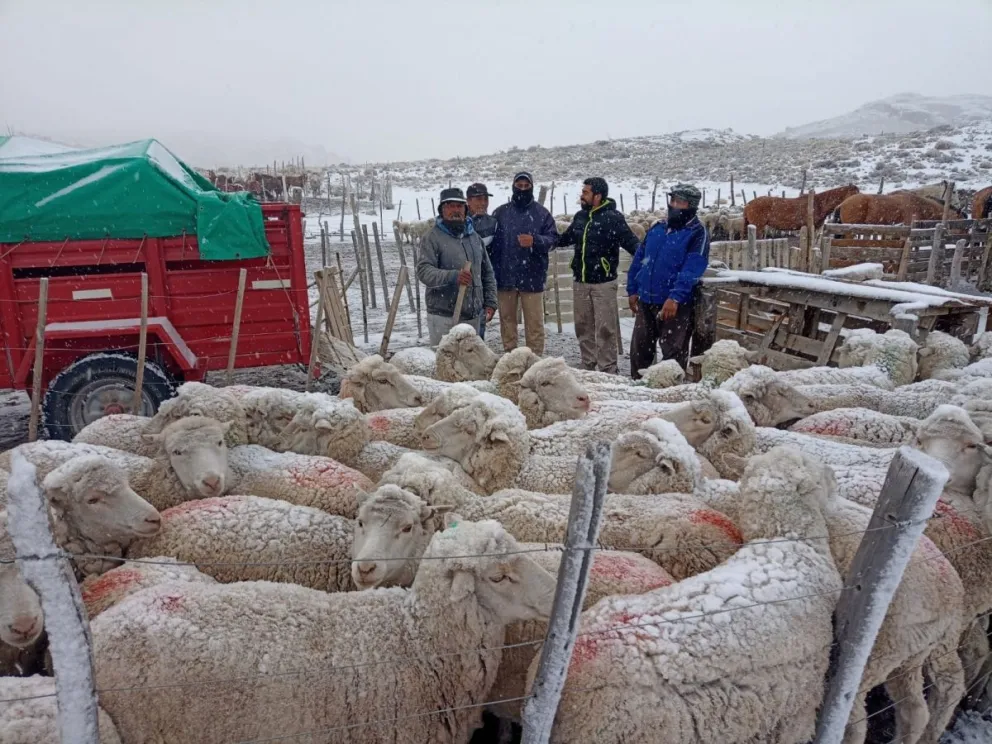 La nieve llegó a zonas de la Línea Sur