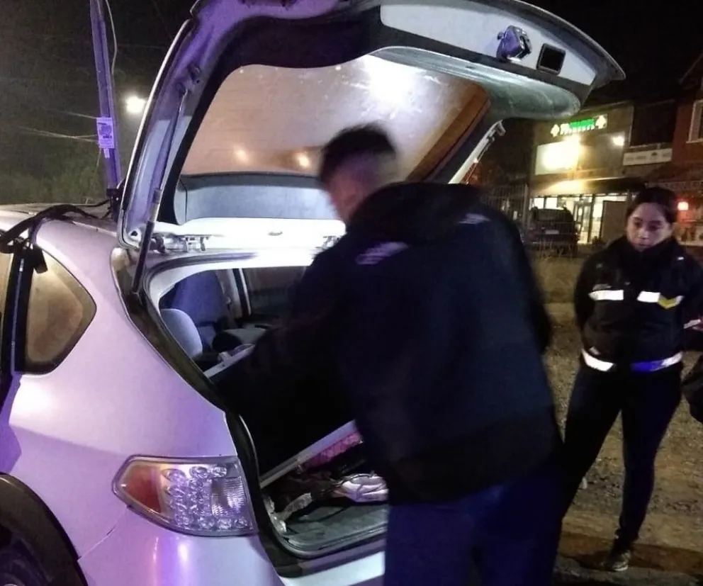 Robaron, huyeron, quisieron ocultar las armas, pero fueron detenidos 
