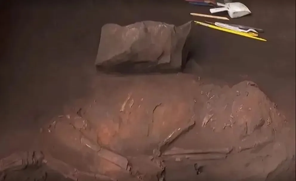 Gran hallazgo: encontraron en Brasil un fósil humano de casi 12.000 años 